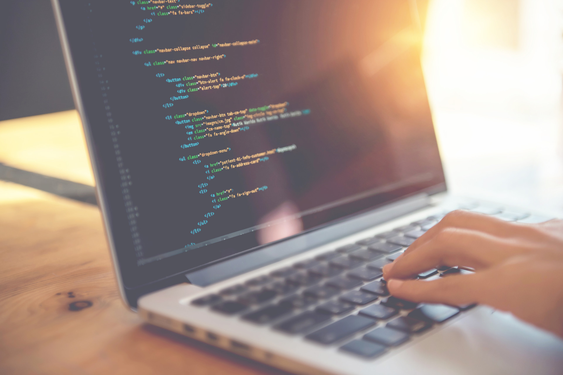 Web Development